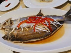 -岳姥姥饺子(泺文路店)