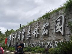 -塔川景区