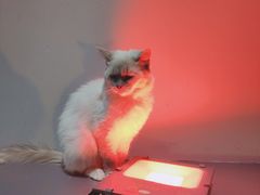 -极木²邸 人与宠物·互动社区