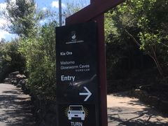 -怀托摩萤火虫洞