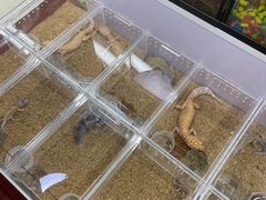 -三旗百汇商品城