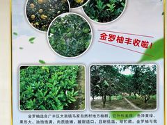 -小鱼草莓采摘园农家乐·小鱼餐厅