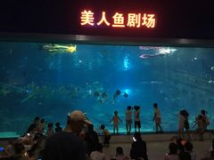 -福州罗源湾海洋世界旅游区