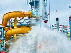 -苏州乐园森林水世界