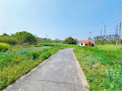 -广富林郊野公园