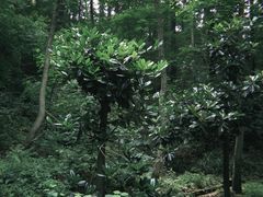 -波尔登森林公园