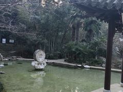 -镇江市南山风景名胜区竹林景区