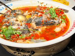 -坛宗剁椒鱼头(河西王府井店)