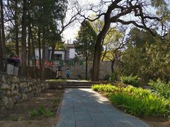 -北京鹫峰国家森林公园