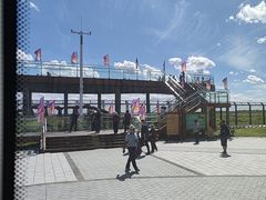 -黑瞎子岛探秘野熊园