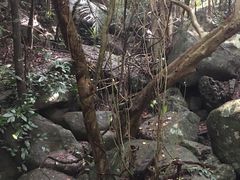 -七仙岭温泉国家森林公园