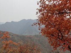 -周口店坡峰岭风景区