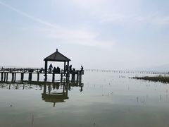 -哈素海