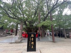 -浮来山风景区