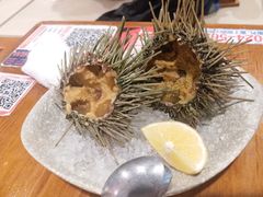 海胆-三月居酒屋(青年大街店)