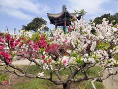 -国家植物园