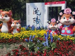 -北陵公园