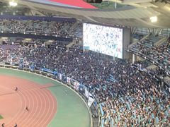 -南京奥林匹克体育中心-体育馆