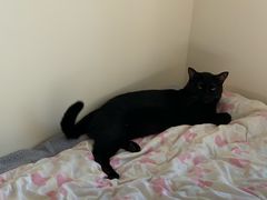 -暨南大学（石牌校区）明湖楼