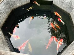 -西安市广仁寺