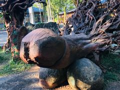 -海口火山口国家地质公园