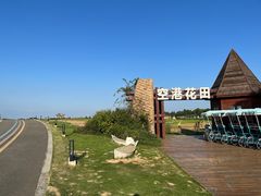 -空港花田景区