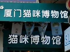 -猫咪博物馆(顶澳仔猫街店)