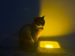 -极木²邸 人与宠物·互动社区