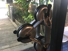 -莓园冰淇淋店