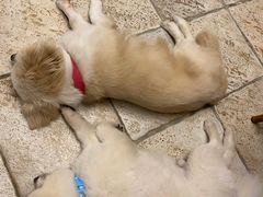 -零几体验diy皮具工作室(振业城店)