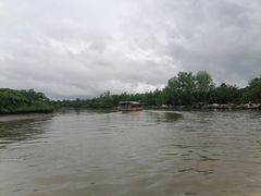 -东寨港红树林旅游区