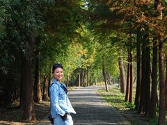 -溱湖国家湿地公园