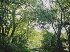 -南山风景名胜区