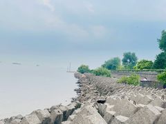 -上海滨江森林公园