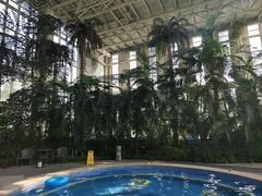 -中家鑫园温泉酒店鑫悦汤泉