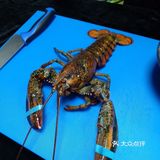 这是一家很有情调的法餐店