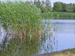 -永定河休闲森林公园
