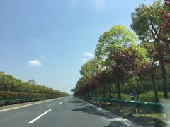 -上海崇明金茂凯悦酒店