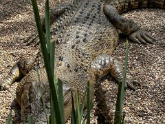 -费瑟代尔野生动物园