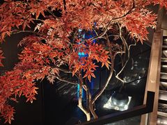 -大桶大足浴(武夷店)