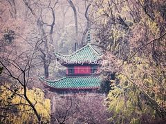 -岳麓山风景名胜区