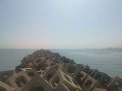 -东疆建设开发纪念公园