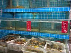 -方国老头包子·39年威海本地老字号•小船海鲜疙瘩汤