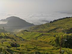 -紫鹊界梯田景区