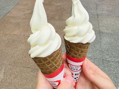 -富豪雪糕车流动点(尖沙咀店)