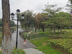 -映月湖公园