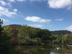 -白马涧龙池景区