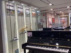 -雅马哈乐器专卖店(广州旗舰店)