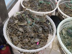 -北京清河镇农副产品交易市场中心