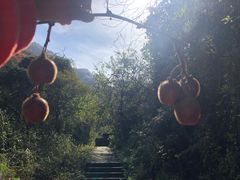 -太平万花山景区